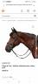 Filet neuf flag&cup taille cob noire