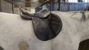 Selle GBS 17.5