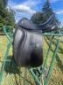 Selle de dressage