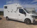 Renault Master transport chevaux