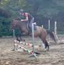 Jument Zangersheide 4 ans, +-1m64