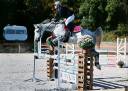 Poney 