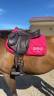 Selle devoucoux chiberta Lab
