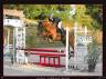 JUMENT par Eye Catcher de Lourcq. CCCE/CSO/DRESSAGE