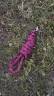 Longe fouganza Bordeaux