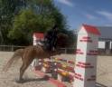 Poney &agrave; vendre 