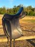 Selle dressage Herv&eacute; Godignon One noir 17,5