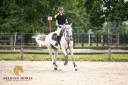 Shere Khan du Banney x Cento