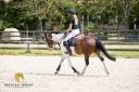 Vous cherchez le premier poney d'obstacle id&eacute;al ?