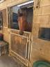 Cheval de compagnie et balade