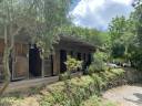 PROPRI&Eacute;T&Eacute; &Eacute;QUESTRE DE 6,5 HA  VENCE (06)