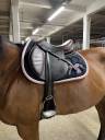Selle &eacute;ric thomas x antares