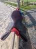 Selles equipe grand prix 