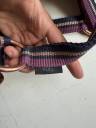 licol norton taille cheval 