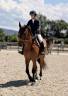Jument de Sport CSO 