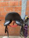 Selle  Aviar &agrave; vendre