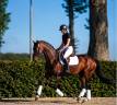 Hannovrien Lign&eacute;e de champion ?