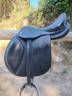 Selle forestier