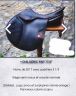 selle childeric