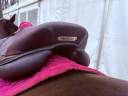 Selle Antares connexion 2023