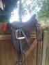 Selle Wintec dressage Isabelle Werth 17 pouces 