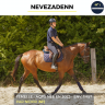 NEVEZADENN - AQPS - 3 ANS 
