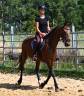 Afaya, jument de 9 ans