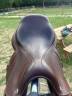  Selle CWD S.03 Close Contact &ndash; Ann&eacute;e 2022 taille 17