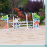Jument 8 ans gagnante Amateur 2 CSO