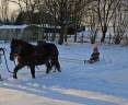 Superbe ponette assurance vie