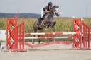 Jument 8ans par casall