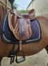 Selle de dressage Darroze