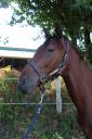 Nuage Rouxeville - 3 ans