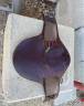 Bavette courte 70cm