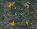 Lot de parcelles en nature de terres et bois