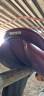 Selle Butet 17"