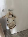 Licol en mouton Penelope Leprevost