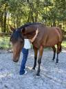 Trotteuse de 5 ans 