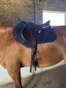 Selle Ikonic Horseball light 16,5 pouces 