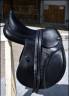 ACavallo Bernini all purpose Saddle