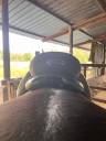Selle dressage Kieffer Ulla Salzgeber