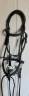 Bridon CWD