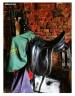 Selle dressage devaucoux 