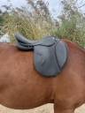 Selle Norton pro 
