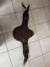Sangle bavette CWD iPulse by Arioneo - Taille Universel