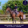 Superbe jument 3 ans top locomotion famille obstacle