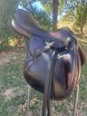 SELLE EQUIPE SYNERGIE 17,5