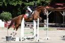 Feniki &mdash; Jument de 16 ans &mdash; 1,67 m &mdash; 6 500 &euro;
