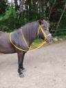 Bridon et r&ecirc;nes cheval