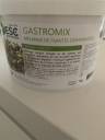 Gastromix laboratoire ESC